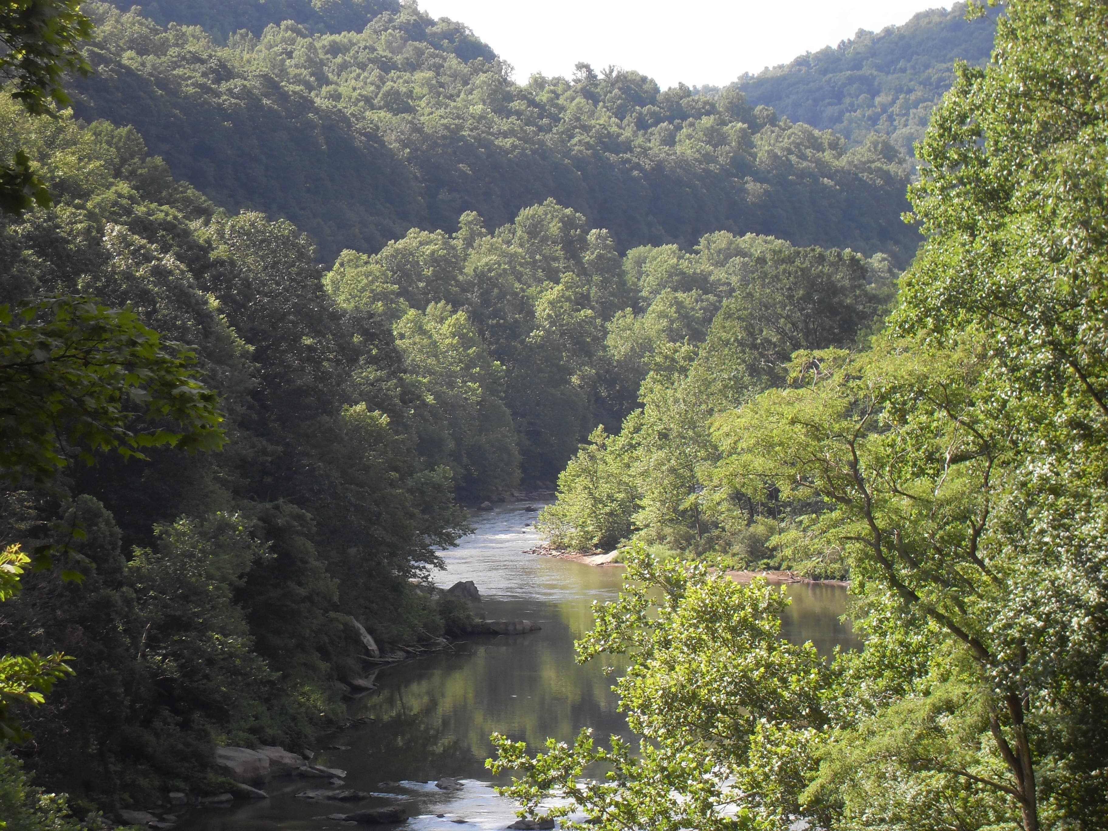 E-bike trail through Mid-Atlantic woodland