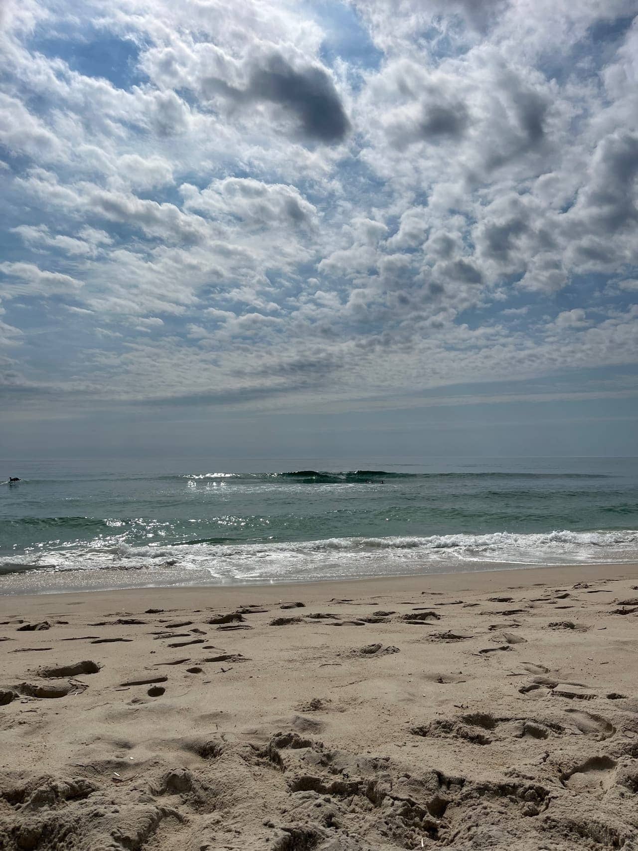Assateague Island National Seashore dunes and maritime forest, Maryland