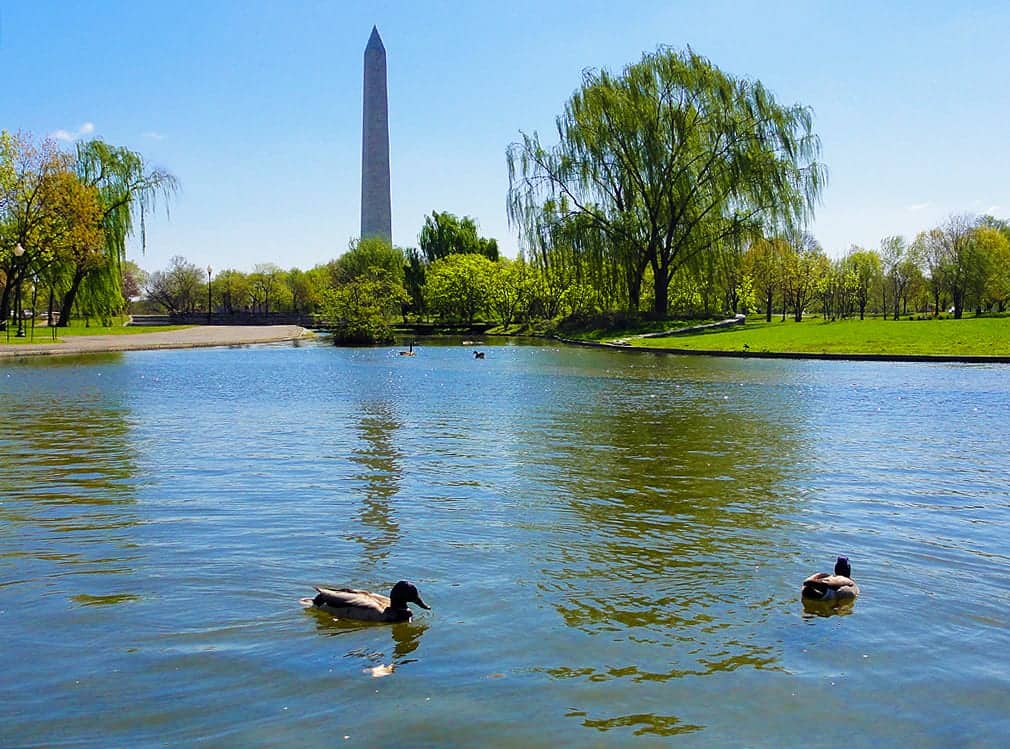 Washington Monument and Constitution Gardens, a designated bike connector area in Washington DC